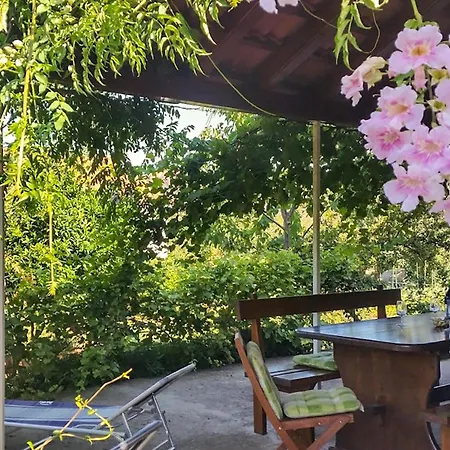 1 Bedroom Awesome In * Mali Ston